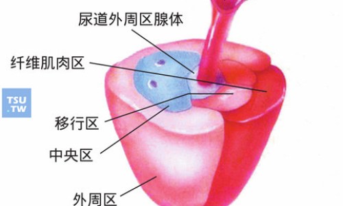奥美拉唑肠溶胶囊吃多少天一个疗程-奥美拉唑碳酸胶囊价格-专业奥美拉唑溶肠胶囊平台-奥美拉唑肠溶胶囊使用说明